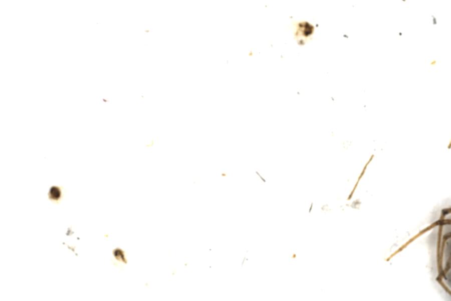 Image 38